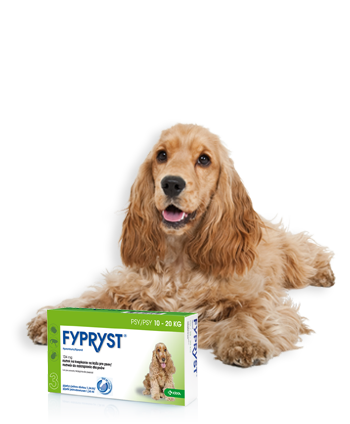 Psy, 10-20 kg
