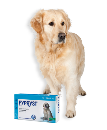 Psi, 20-40 kg